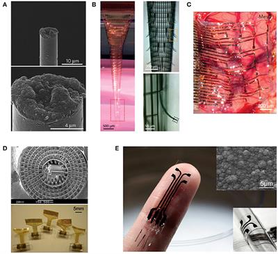 The Pursuit of Chronically Reliable Neural Interfaces: A Materials Perspective